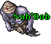NahBob