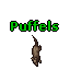 Puffels