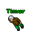 Timur